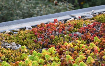 the cost of St Denys green roof installation